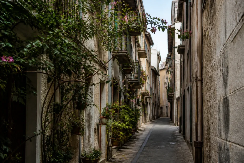 Rue etroite bordee d'immeubles et de balcons fleuris